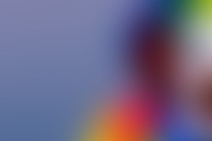 Фотография квеста Оно от компании IQuest (Фото 1)