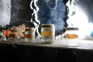 Фотография квеста Особняк с привидениями от компании Черный кот (Фото 2)