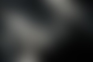 Фотография квеста Сумасшедший парикмахер от компании Iquest (Фото 1)