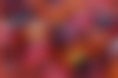 Квест-анимация «Brawl Stars» от Веселые старты