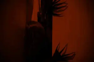 И гаснет свет