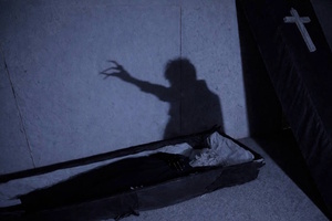 Фотография перформанса Мертвая тишина от компании Scream House (Фото 2)