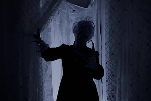 Фотография перформанса Мертвая тишина от компании Scream House (Фото 5)