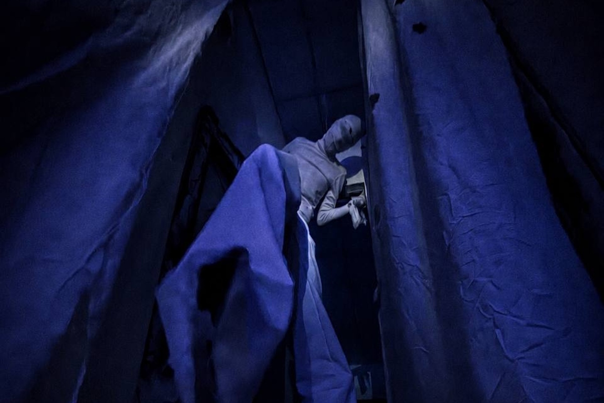 Фотография перформанса Phasmophobia от компании Форт Крут (Фото 1)