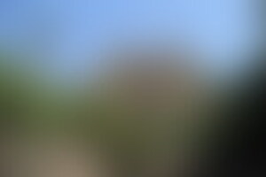 Фотография квеста Машина Времени от компании TimeLess (Фото 1)