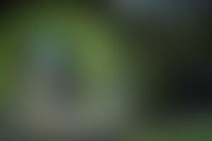 Фотография квеста Шпионские игры от компании Другая реальность (Фото 2)