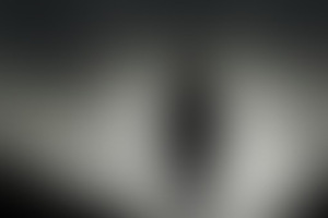 Фотография перформанса По ту сторону тьмы от компании Fear factory (Фото 1)