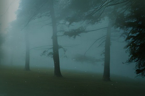 Квест-перформанс «Silent Hill» от Quest Family House