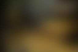 Фотография ролевого квеста Наследники от компании Игротей (Фото 1)